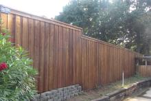 3081359_dlargesquare